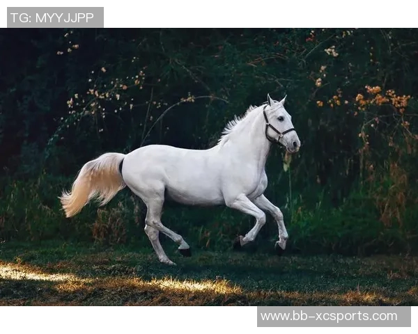 足球巨星挥洒画笔创作马儿画作展现艺术与运动的完美融合 足球巨星挥洒画笔创作马儿画作展现艺术与运动的完美融合